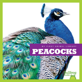 Cari Meister - Peacocks