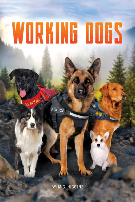 M. G. Higgins Working Dogs