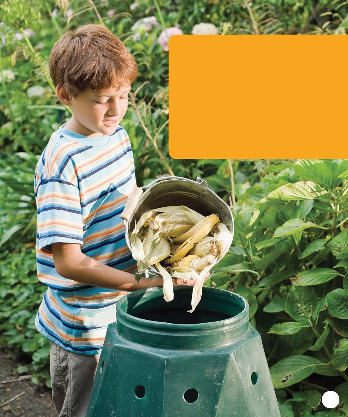 Put a layer of sticks on the bottom of your bin This will drain extra - photo 15