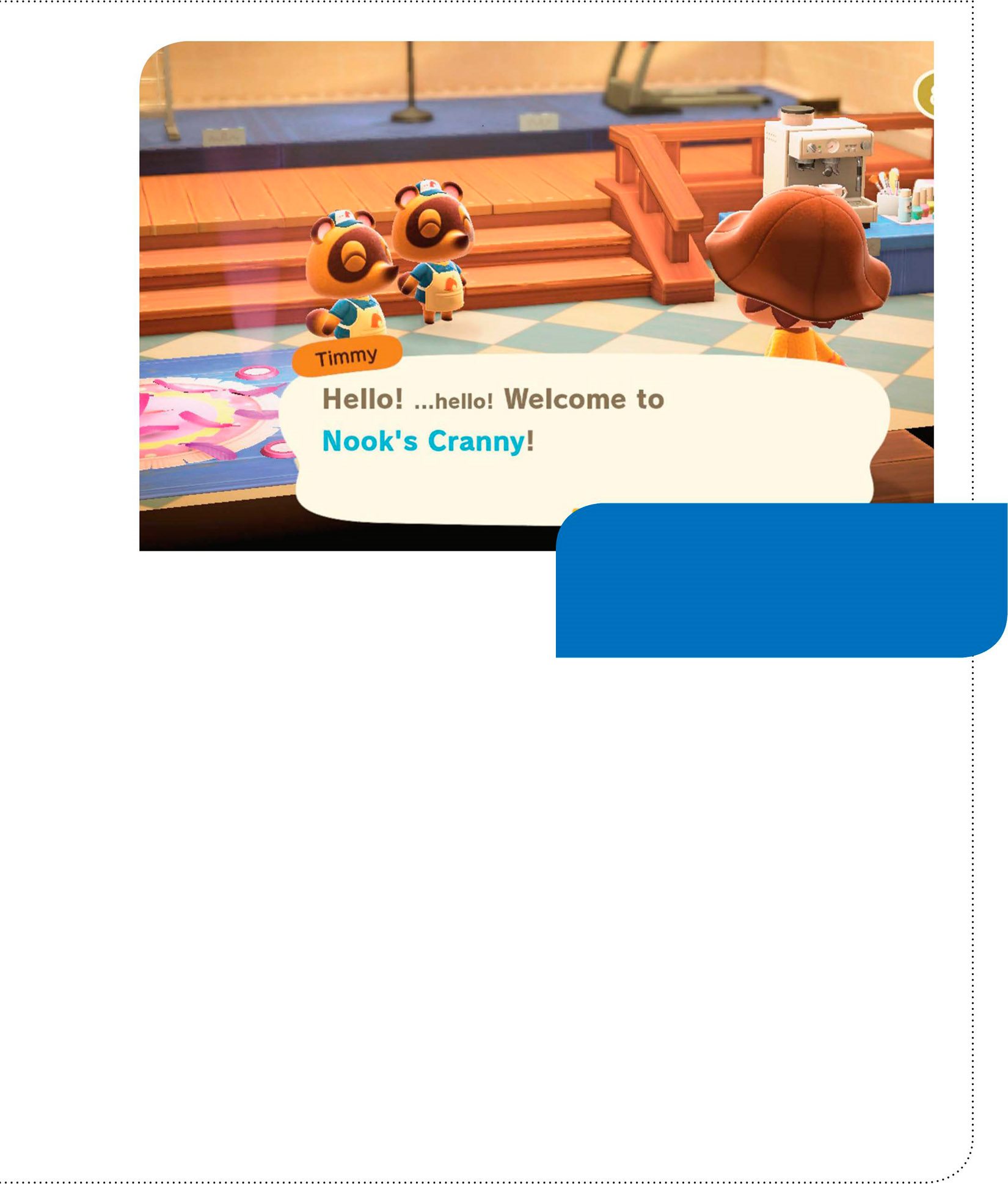 ANIMAL CROSSING Beginners Guide Nook Inc There you will meet Timmy and Tommy - photo 8