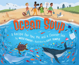 Meeg Pincus - Ocean Soup: A Recipe for You, Me, and a Cleaner Sea