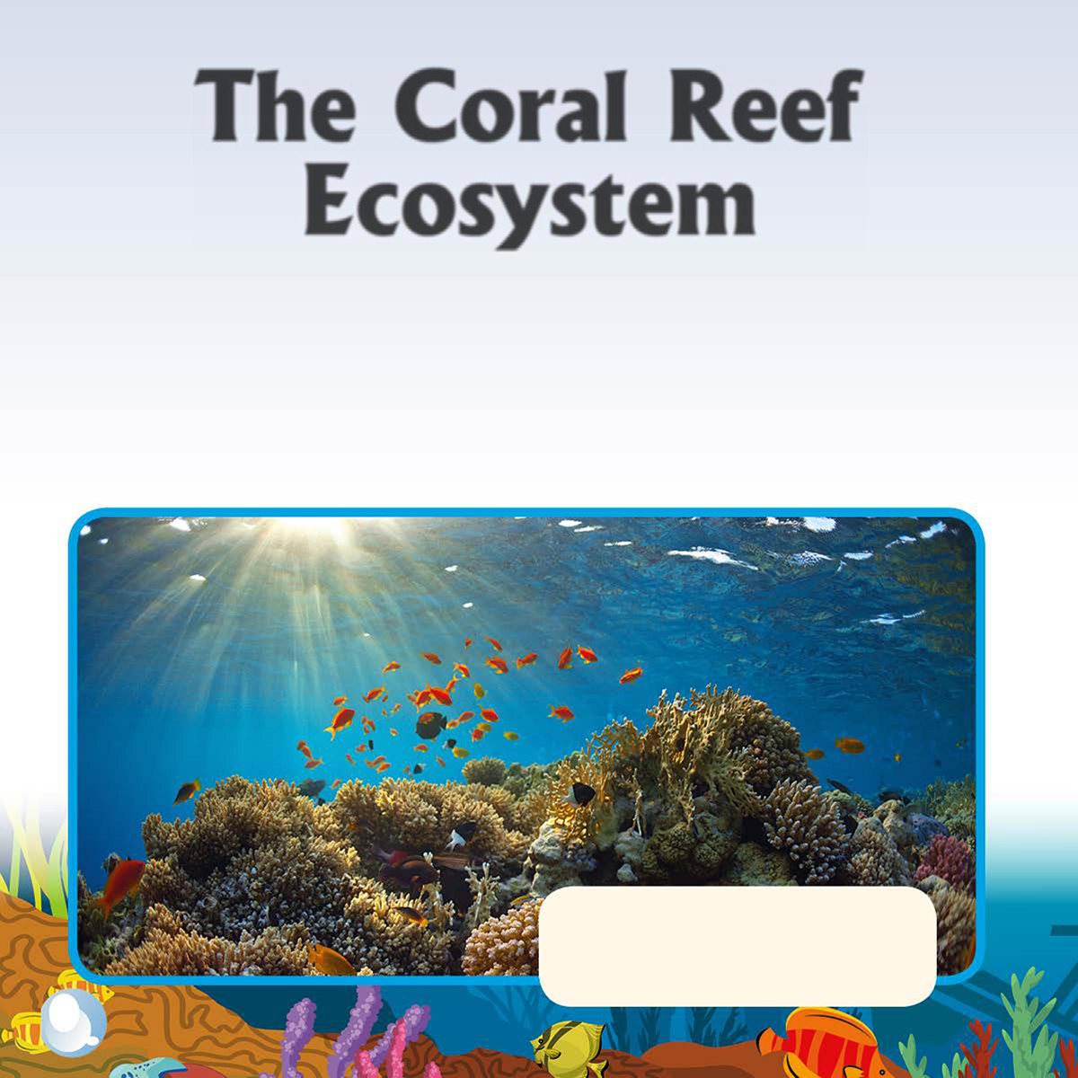 The Coral Reef Ecosystem Systems are made up of connected parts If one - photo 8