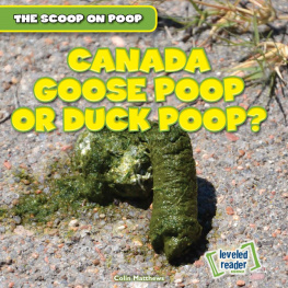 Colin Matthews - Canada Goose Poop or Duck Poop?