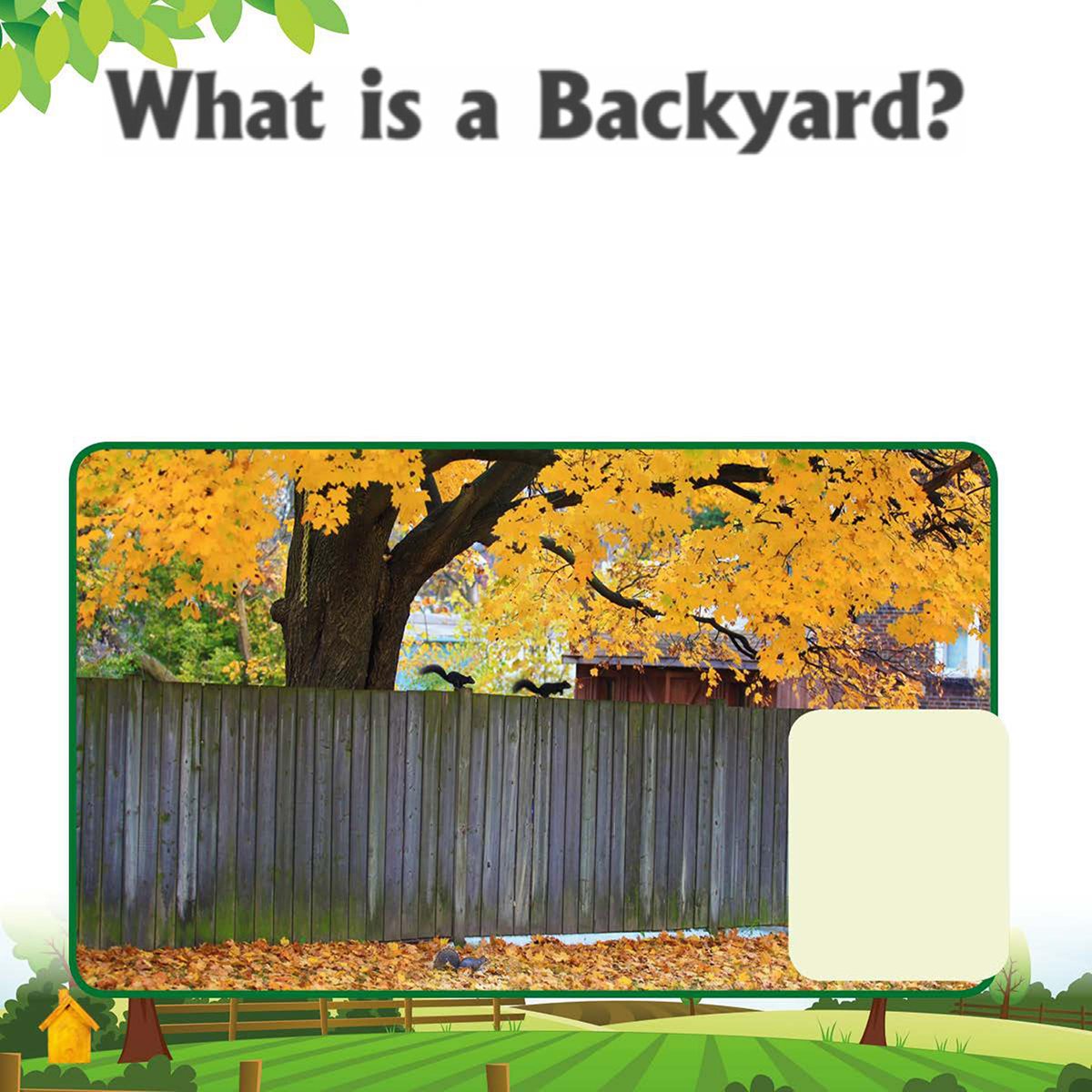 What is a Backyard Backyards are made up of both living and nonliving - photo 6