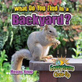 Megan Kopp What Do You Find in a Backyard?