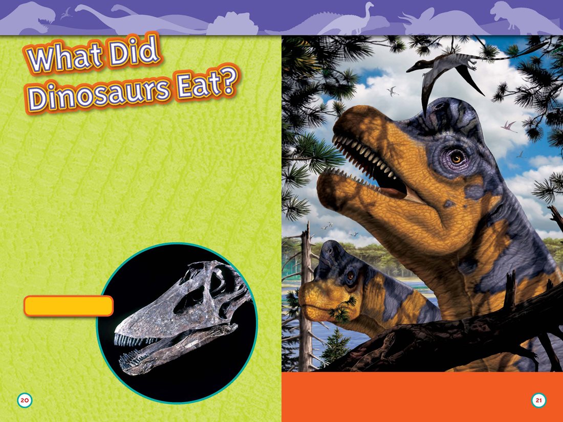 A dinosaurs teeth tell us what it ate Brachiosaurus and Diplodocus were - photo 12