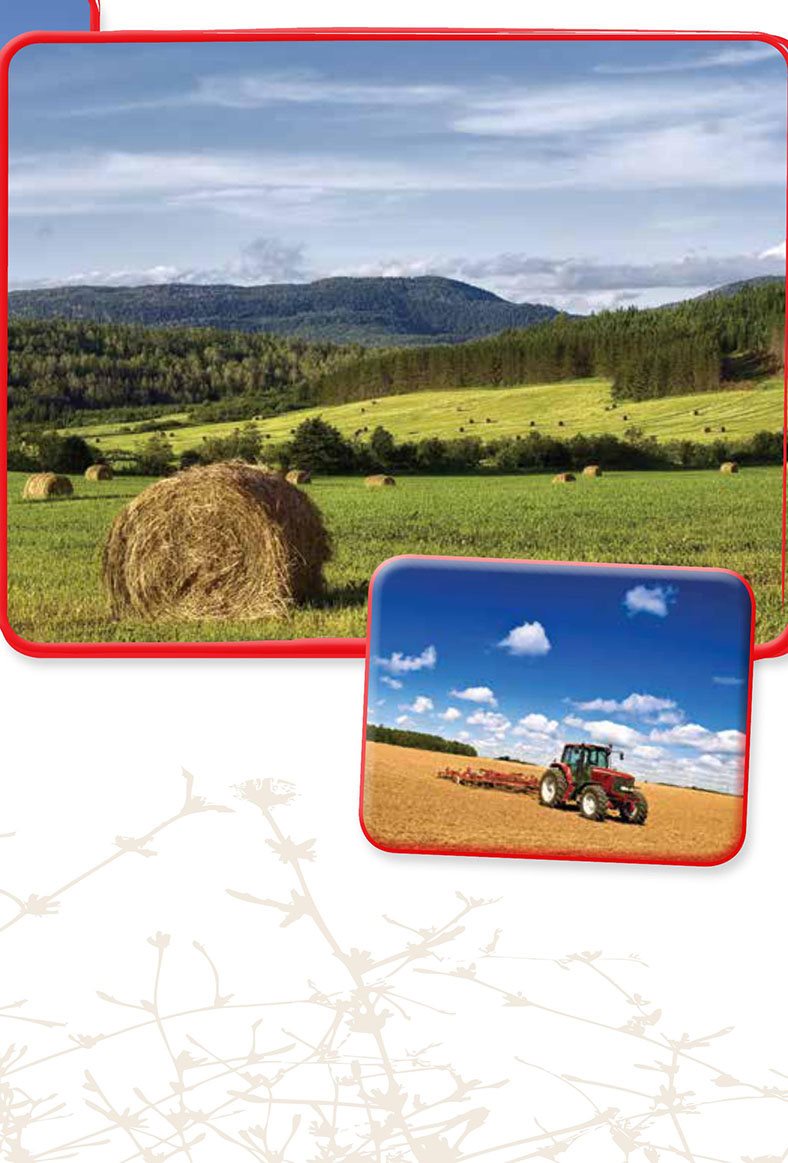 Farms stretch under big blue skies across Canadas wide plains - photo 13