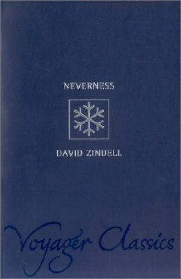 David Zindell - Neverness