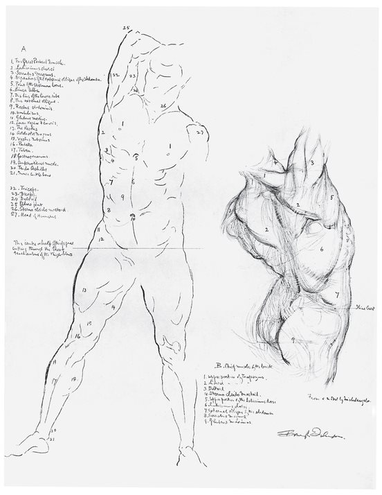 PLATE LXIX Anatomical Study of Male Nude Carbon PLATE LXX Male - photo 24