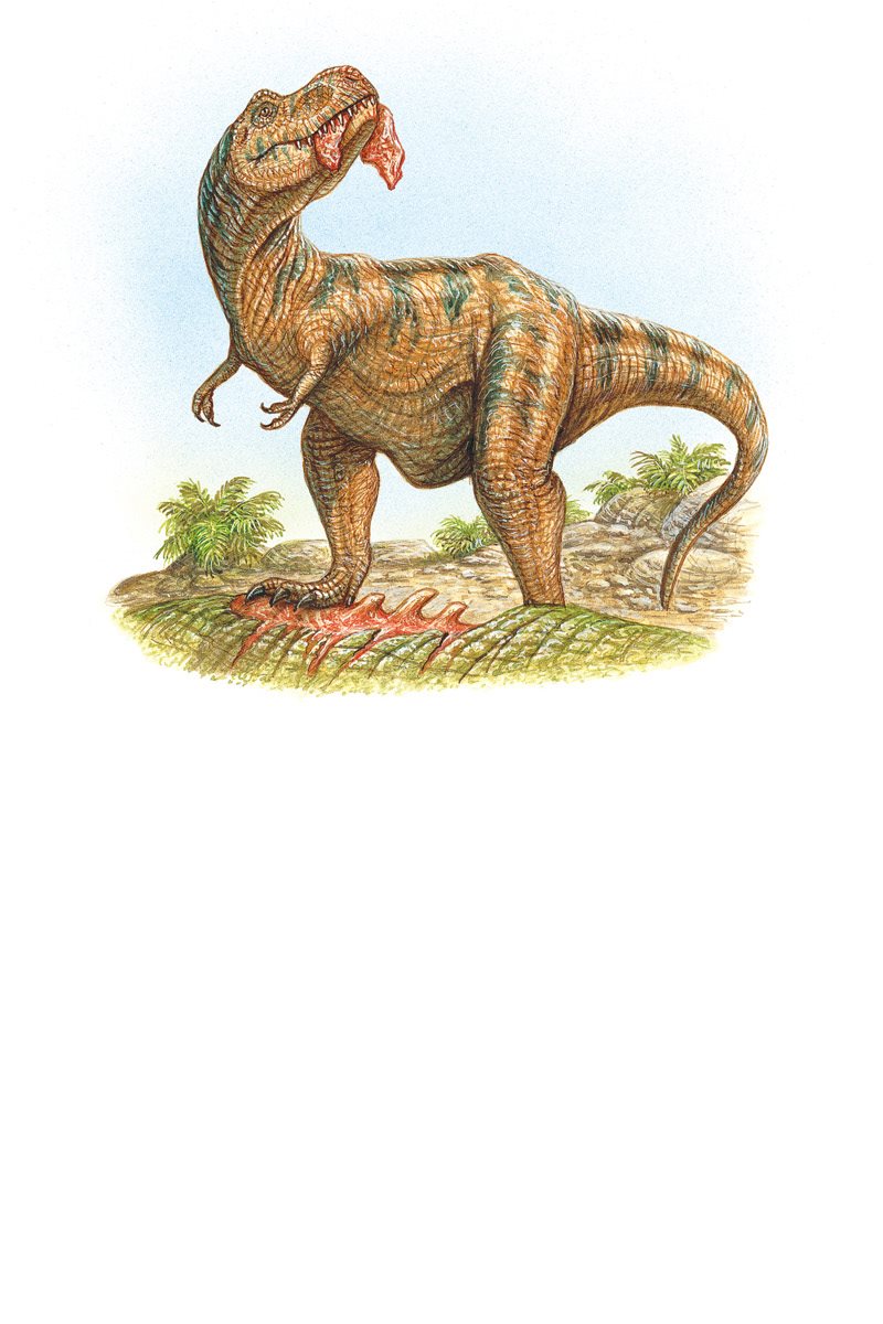 Tyrannosaurus rex watched for other dinosaurs as he ate He did not want - photo 12