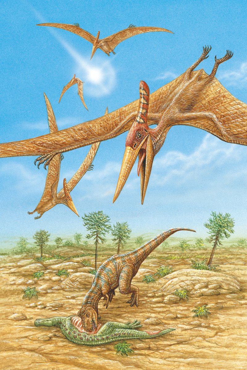 Pteranodons flew in circles high above Tyrannosaurus rex They cried out - photo 15