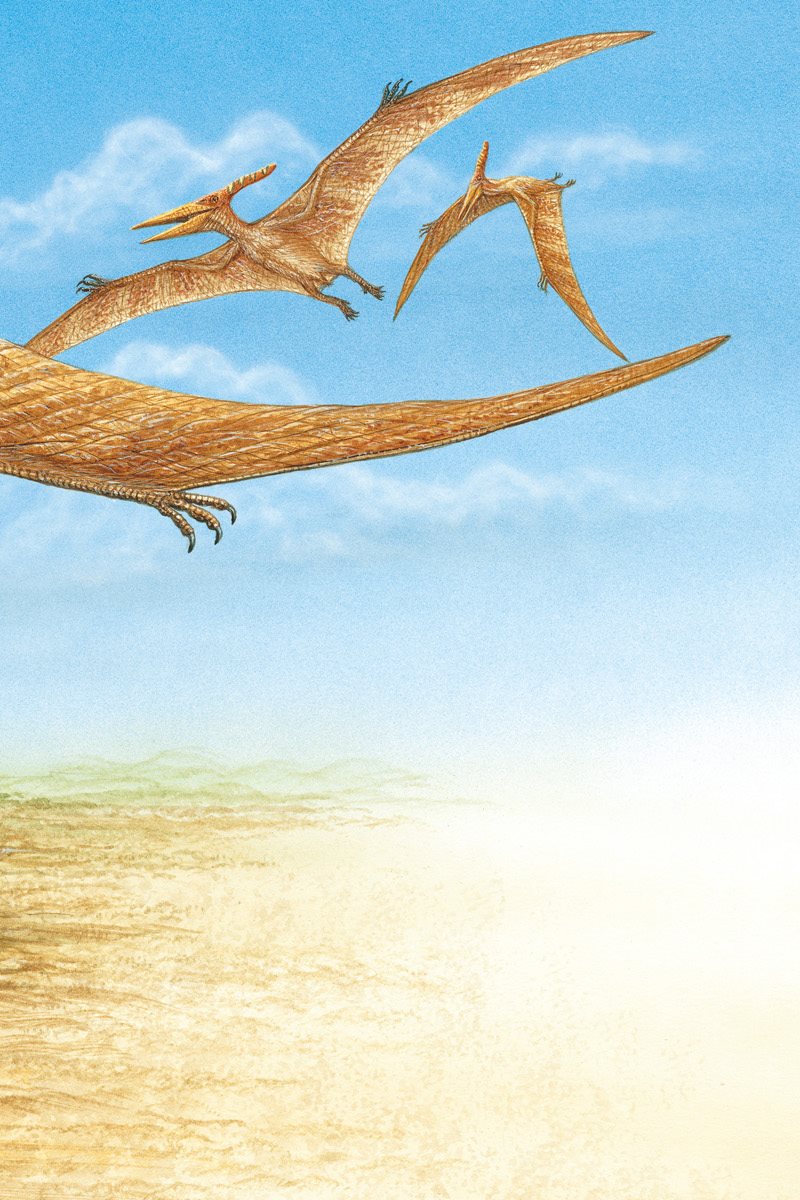 Pteranodons flew in circles high above Tyrannosaurus rex They cried out - photo 16