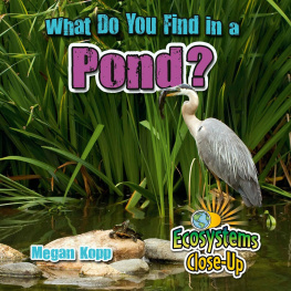 Megan Kopp - What Do You Find in a Pond?