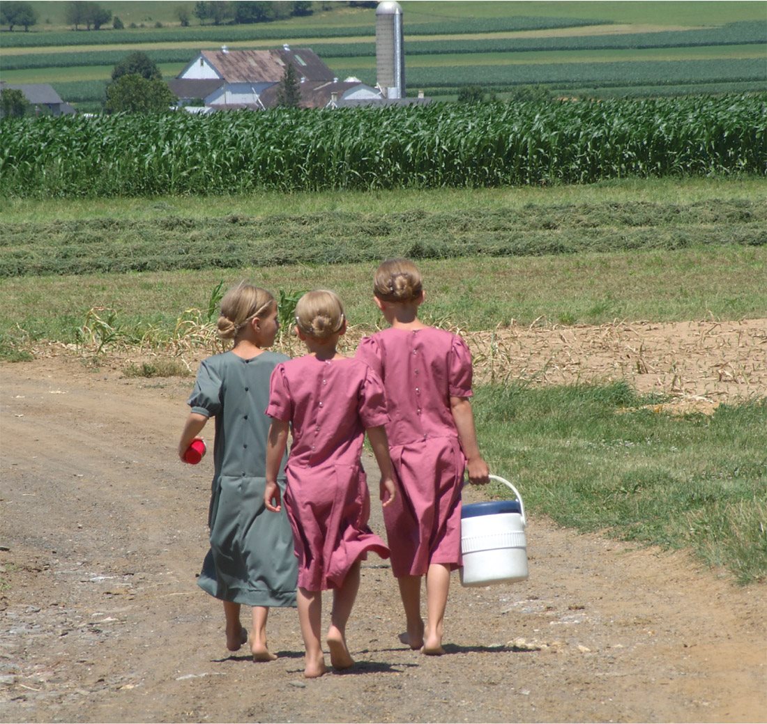 These girls are carrying homemade meadow tea to family members baling alfalfa - photo 5
