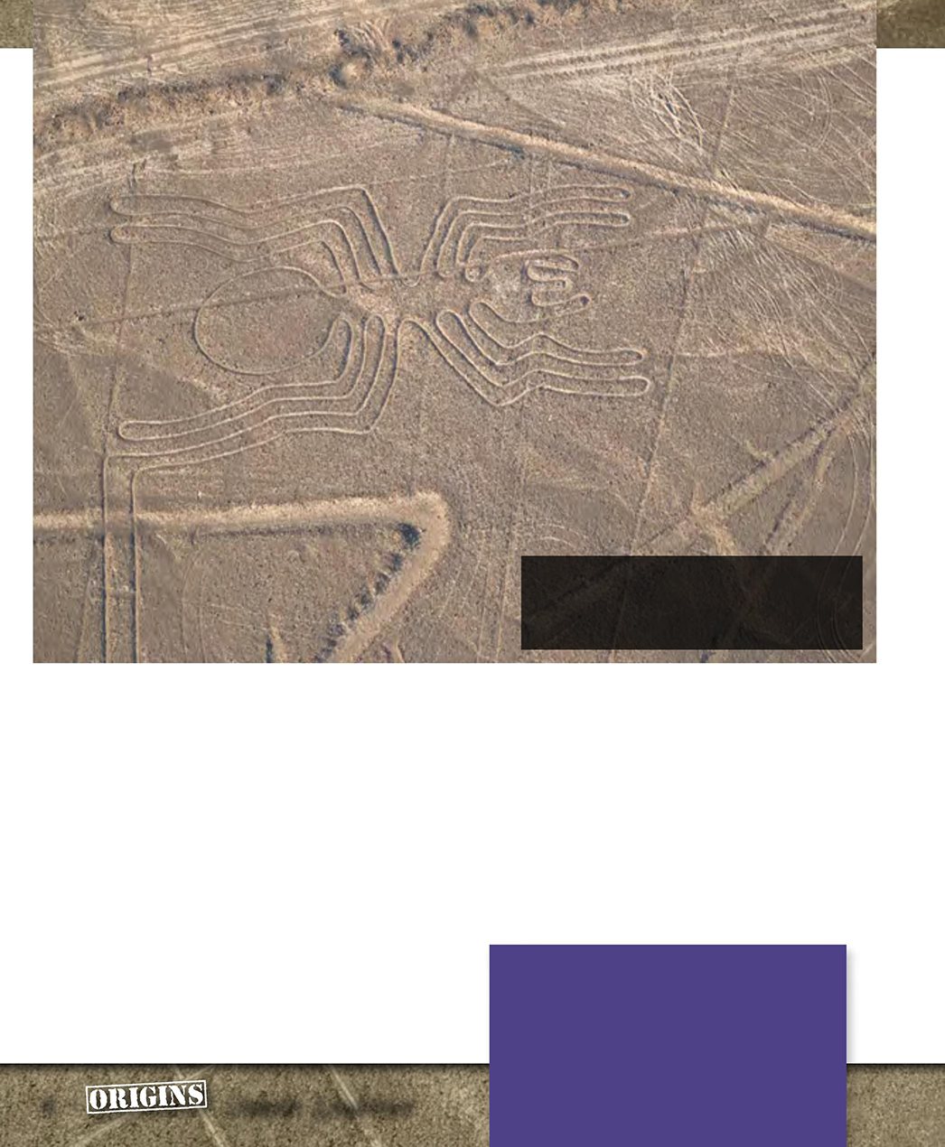 Some of the animal and plant shapes on the Nazca desert are as long as the - photo 4