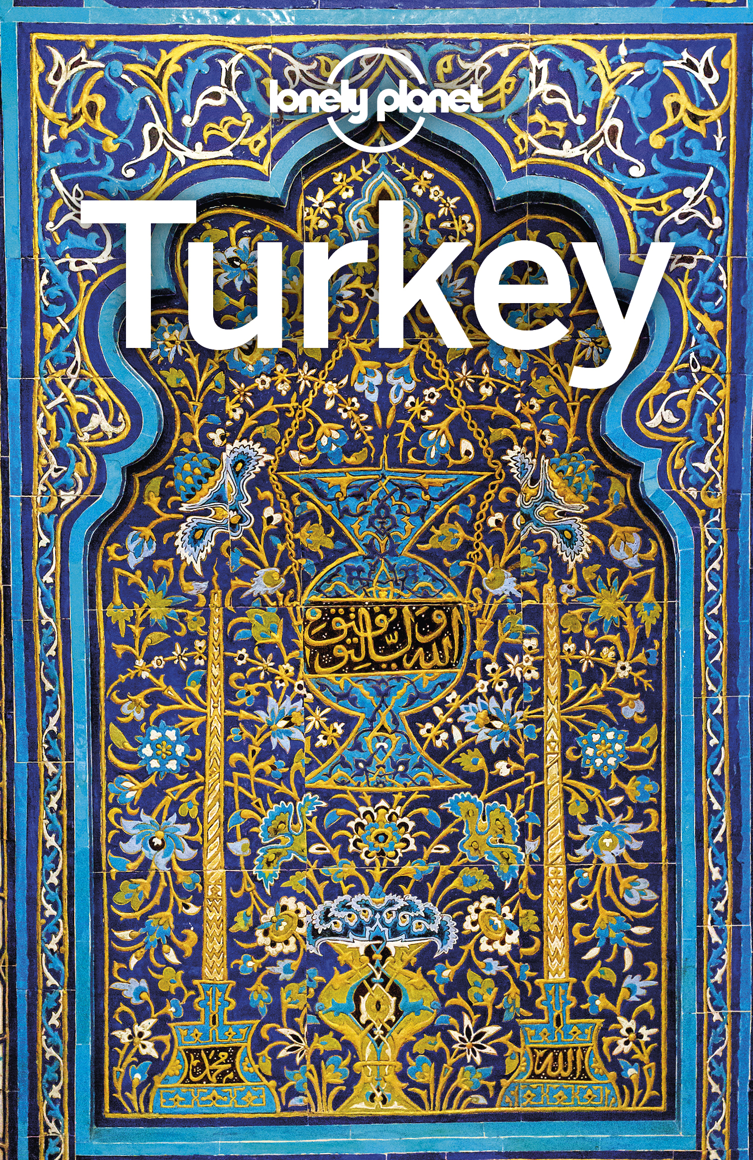 Lonely Planet Turkey 16 Travel Guide - image 1