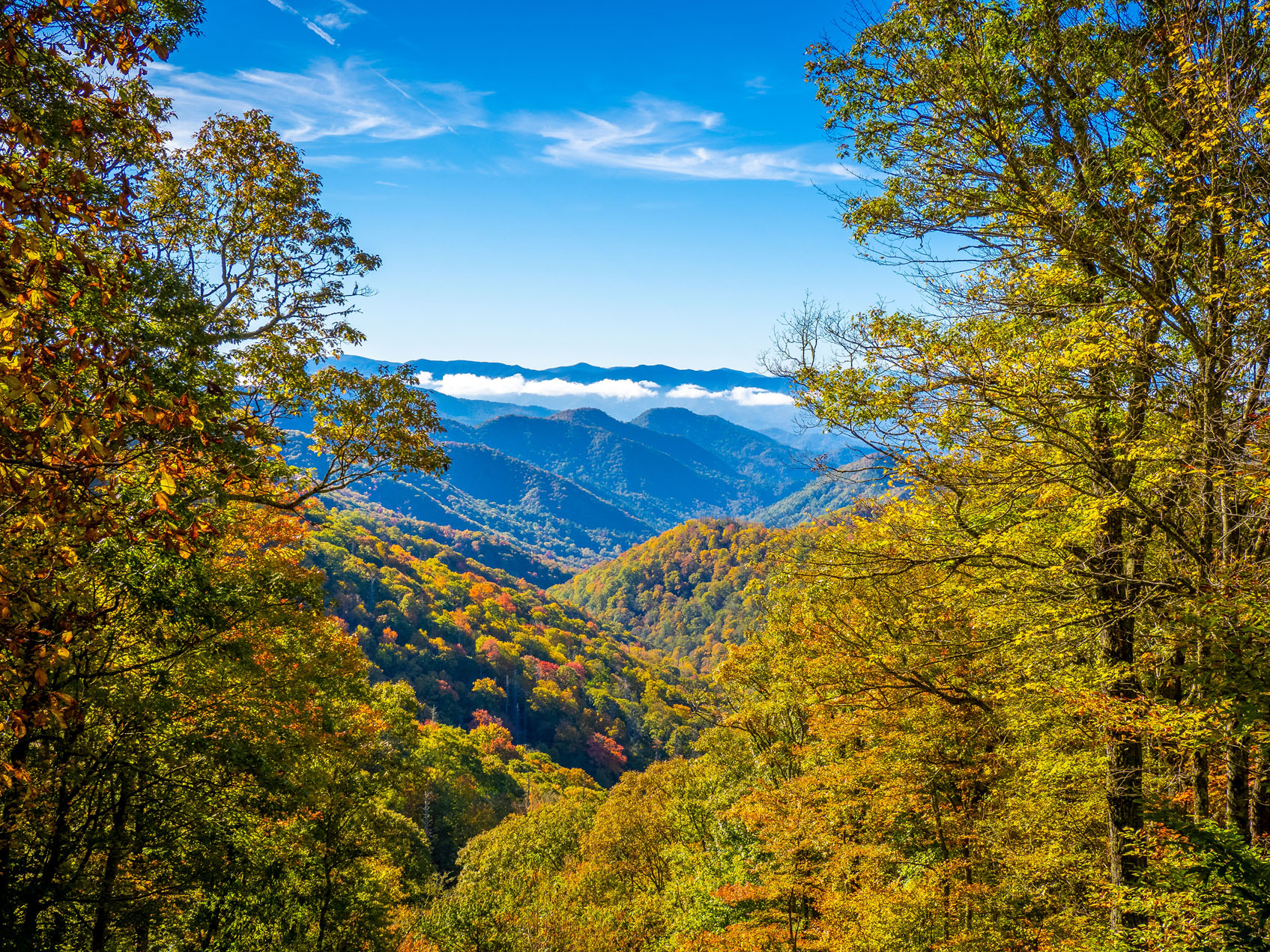 Newfound Gap Road JIM SCHWABELSHUTTERSTOCK regisstlouis regisstlouis - photo 8