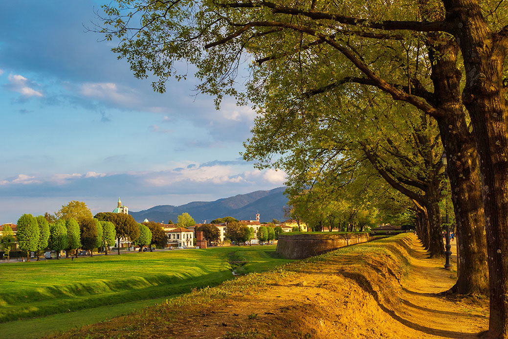 CRIS FOTOSHUTTERSTOCK Florence Tuscanys Top Experiences MARCO - photo 13