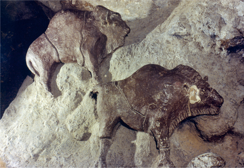 Two sculpted bison in the Tuc dAudoubert cave in France around 17000 years - photo 3