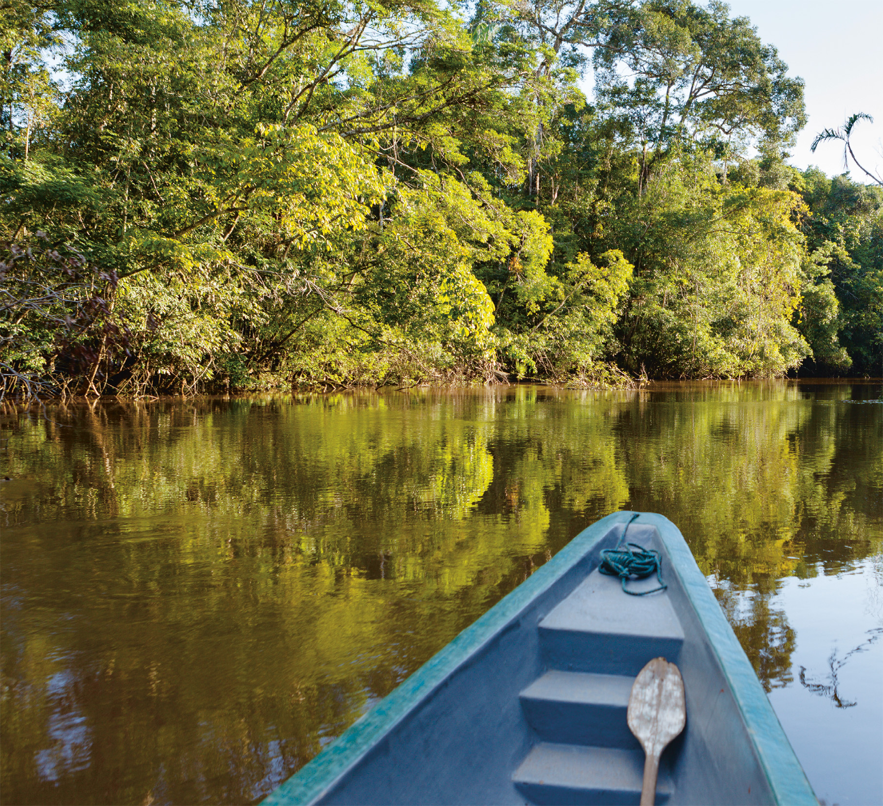 t Whether dolphin-spotting from the deck of a luxury riverboat or fishing for - photo 10