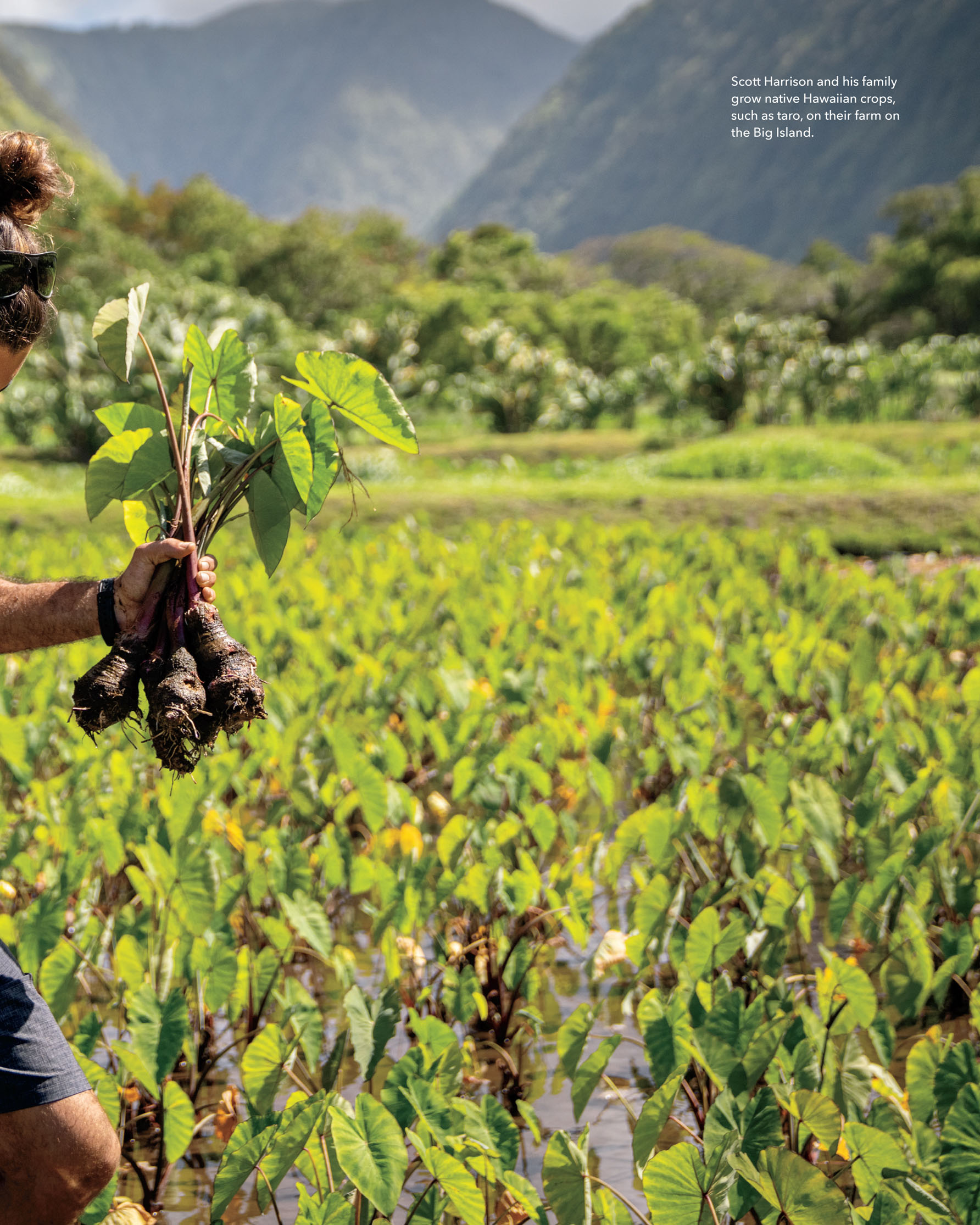 The Blue Zones American Kitchen - photo 15