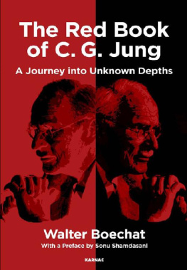 Walter Boechat The Red Book of C.G. Jung: A Journey into Unknown Depths