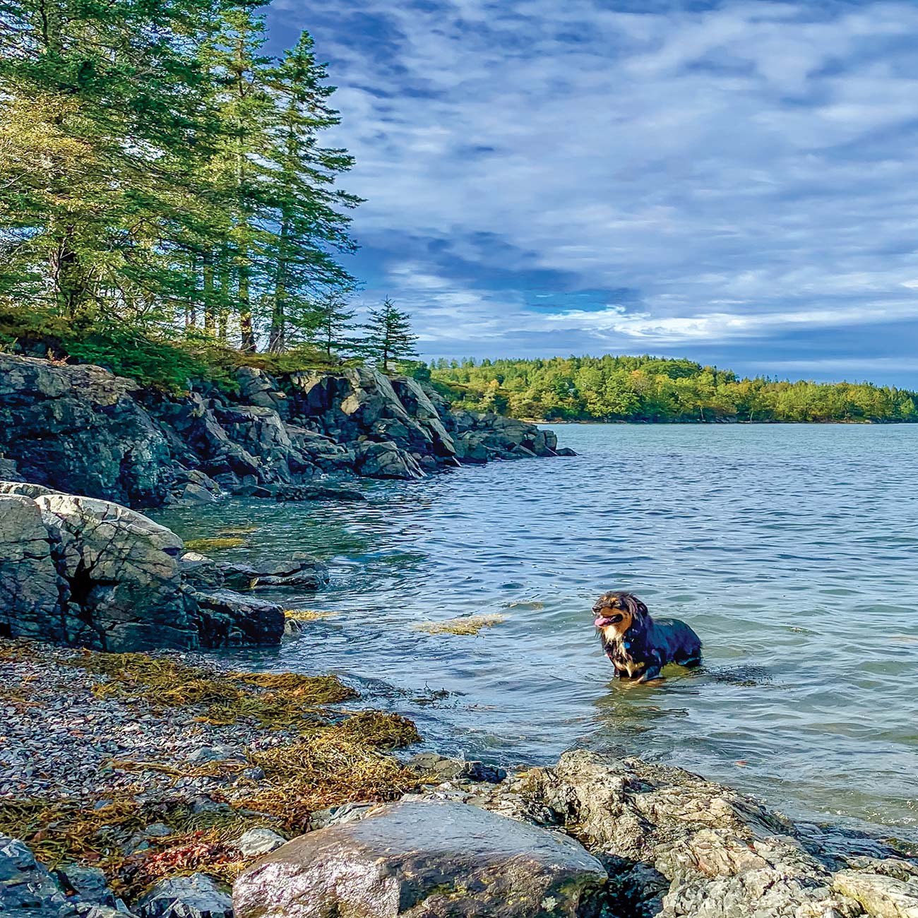 Cobscook Shores Maine Brews Cruise Sebasco Harbor Resort - photo 6