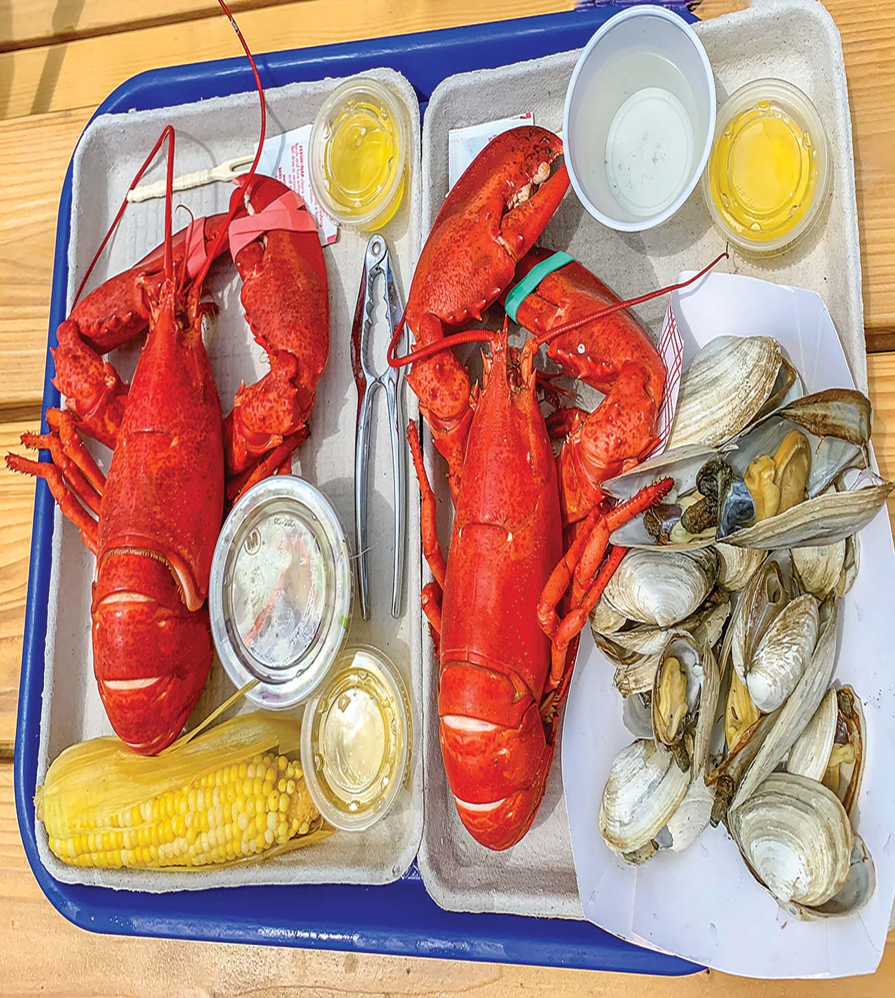 lobster dinner at Five Islands Lobster Company in Georgetown Asticou Azalea - photo 13