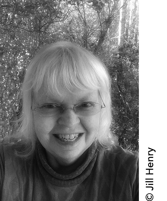 iv About the Author Dr Jill Henry EdD PT APP is a full-time writer - photo 2