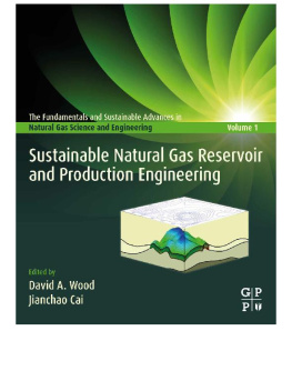 David A. Wood - Sustainable Natural Gas Reservoir and Production Engineering