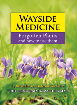 Bruton-Seal Julie Wayside Medicine: Forgotten Plants and how to use them