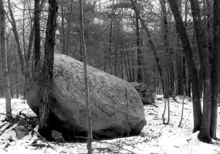 This glacial erratic on Wolf Hill is approximately nine feet tall and thirteen - photo 4