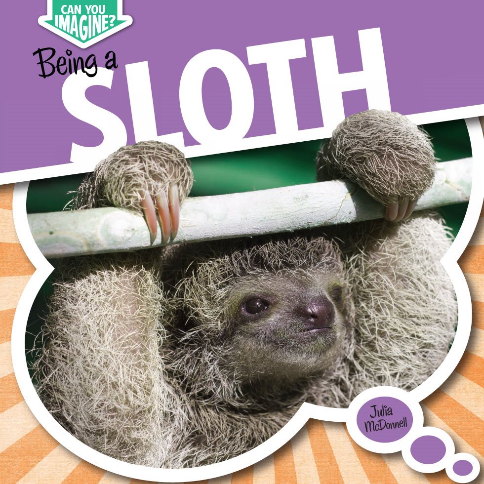 Being a SLOTH Julia McDonnell CAN YOU SLOTH - photo 1