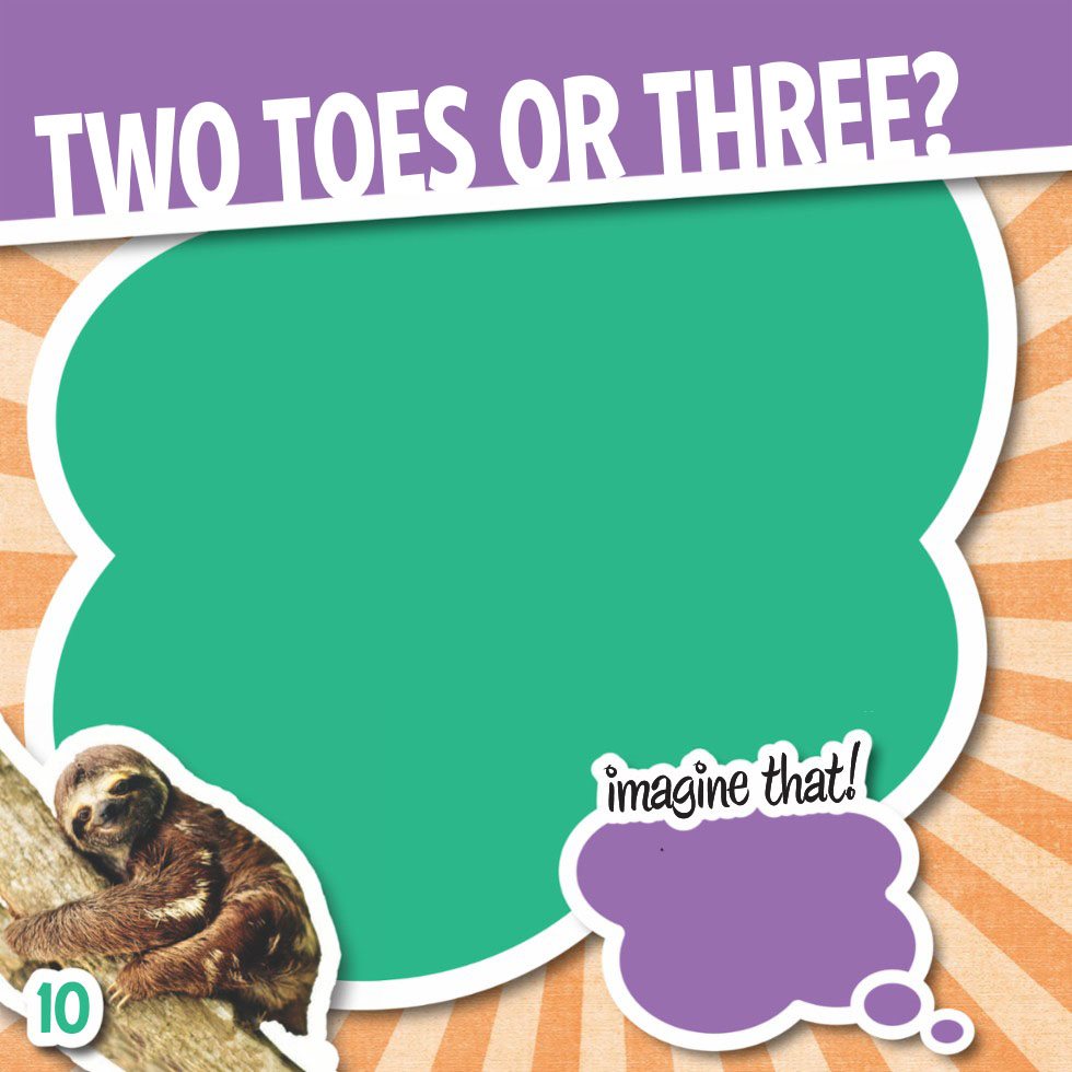 two toes or tHree Most sloths are very similar However theyre separated - photo 12