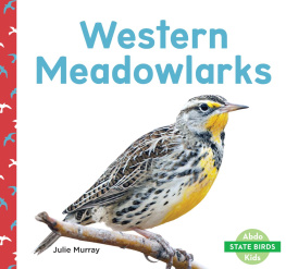 Julie Murray Western Meadowlarks