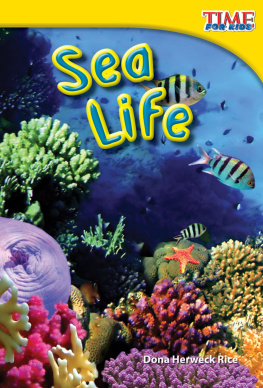 Dona Herweck Rice - Sea Life