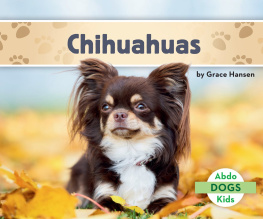 Grace Hansen - Chihuahuas