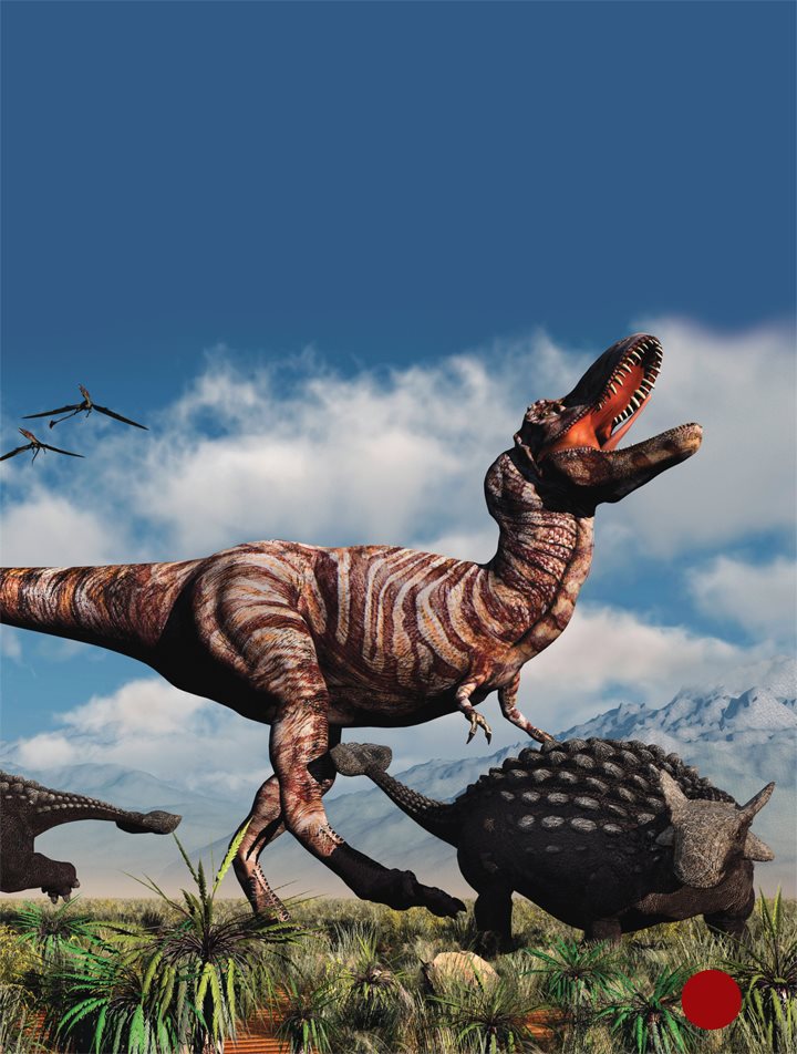 Ankylosaurus armor stopped predators claws and teeth Scientists think it - photo 12