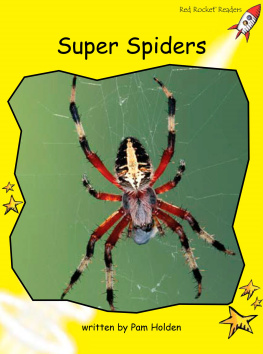 Pam Holden Super Spiders