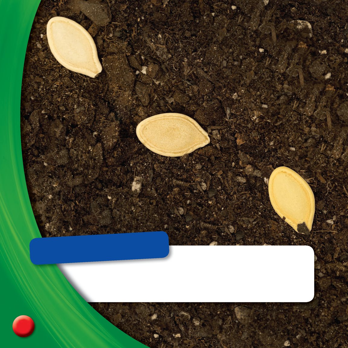 What Do You See How many seeds do you see We plant seeds in rows - photo 16