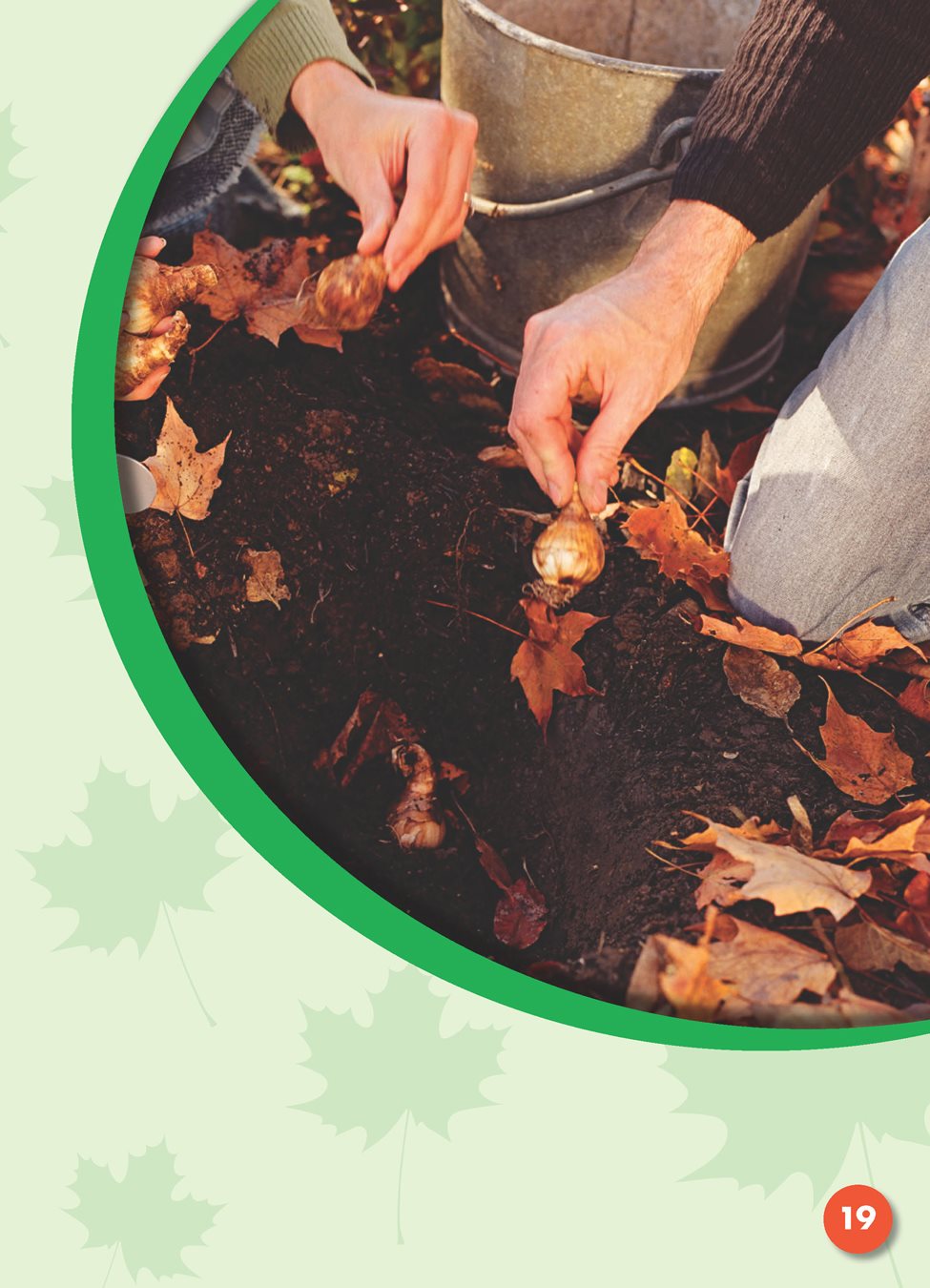 Gardeners plant bulb an onion-shaped part of a plant from whichsome flowers - photo 23