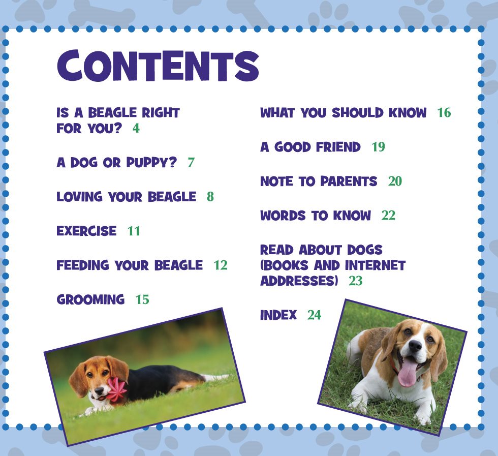 CONTENTS IS A BEAGLE RIGHT FOR YOU WHAT YOU SHOULD KNOW A GOOD FRIEND - photo 5