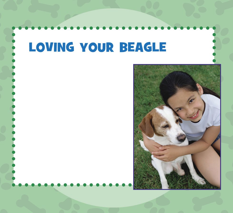 LOVING YOUR BEAGLE Your beagle will need love Spend time with him Pet - photo 10