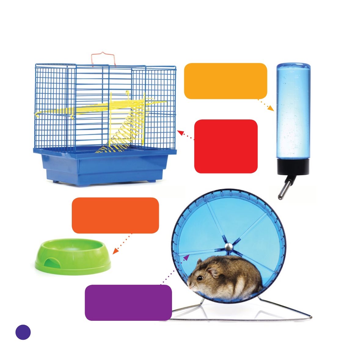 What Does a Hamster Need cage A place where hamsters are kept so they cant run - photo 22