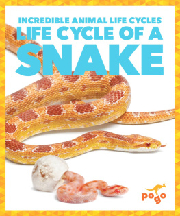 Karen Latchana Kenney - Life Cycle of a Snake