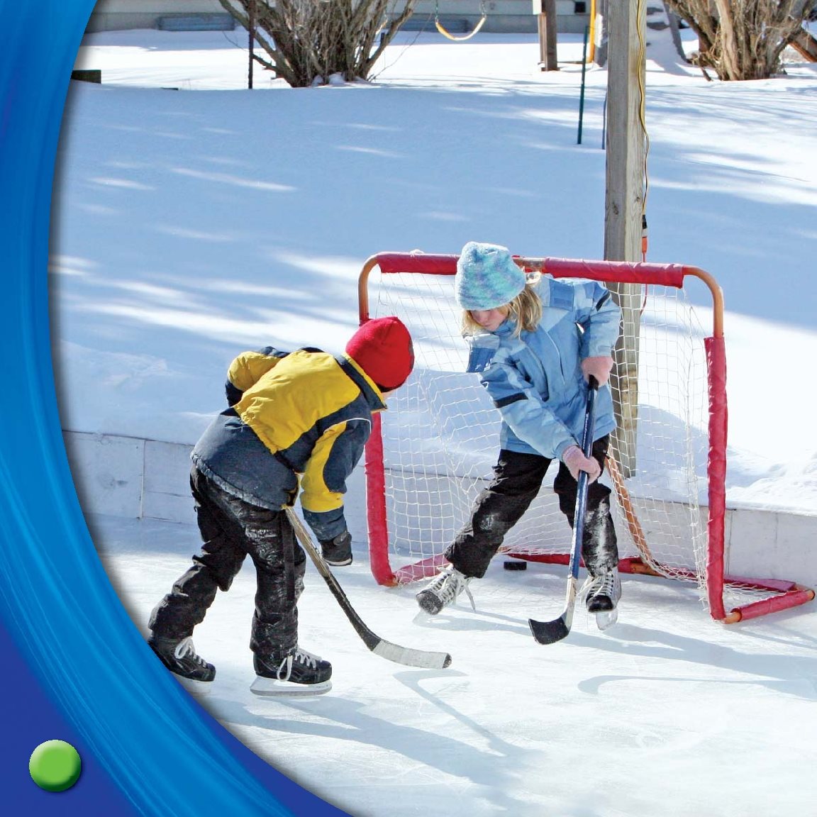 History Hockey is a great sport to play in the cold It can be played - photo 7