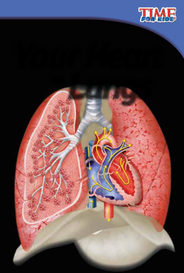 Look Inside Your Heart and Lungs Williams Take a deep breath What brings - photo 2