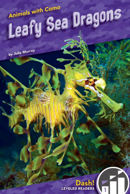 Julie Murray Leafy Sea Dragons