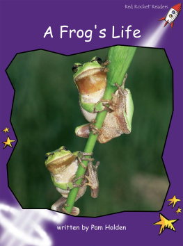 Pam Holden - A Frogs Life