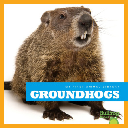 Cari Meister Groundhogs